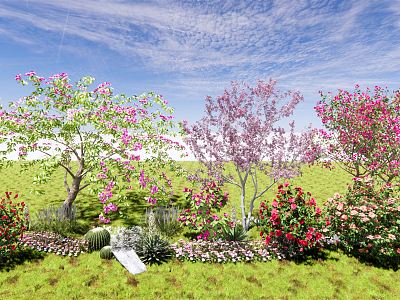 Modern Flower Tree Blossoms Little Qiao Bougainvillea Tea Plum Begonia Flower Xifu Begonia Cherry Blossoms model