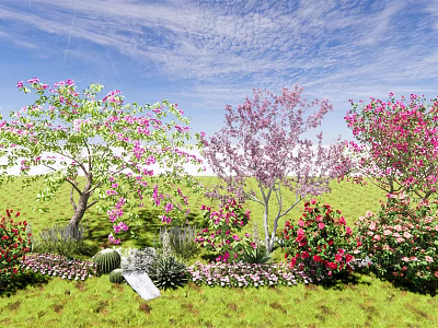 Beautiful Flowering Arbor Landscape With Pink Purple Red Blooms And Green Grassland Under Blue Sky 3d model
