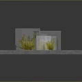 Lush Green Grass Plants Growing Through Dry Cracked Concrete Surface