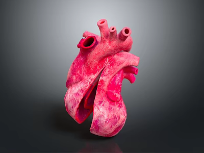 Human Heart Anatomical Model With Detailed Vascular Structures And Pink Texture 3d model
