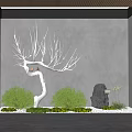 Serene Indoor Landscape Interior With White Decorative Tree Green Plants And Black Stone