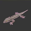 Gecko Reptile With Orange Eyes And Green Gray Scales On Dark Background