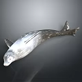 Silver Aquatic Animal Model With Streamlined Spotted Body And Dark Background Reflection