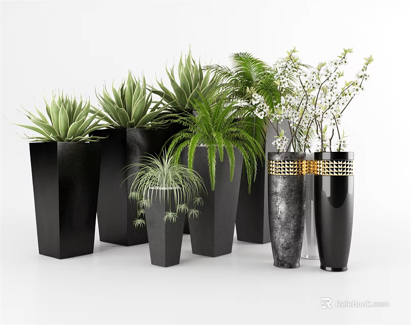Stylish Bonsai Potted Plants With Aloe Fern And White Flowers In Black Gold Accent Planters 3d model 