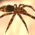 Detailed Large Spider With Brown And Black Patterned Legs On Orange Background