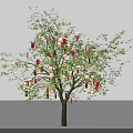 Decorated Tree With Green Leaves And Red Orange Hanging Ornaments