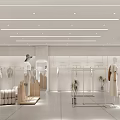 Modern Clothing Store Interior Design With Mannequins Clothing Racks And Decorative Plants