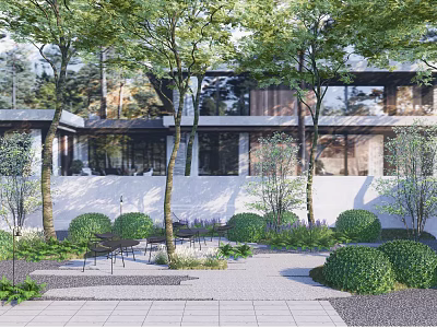 Modern Courtyard Garden With Trees White Walls Outdoor Chairs Trimmed Shrubs And Stone Tile Flooring 3d model