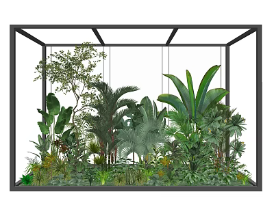 Glasshouse Interior With Various Tropical Plants And Lush Greenery Arrangement 3d model