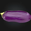 Fresh Whole Purple Eggplant with Glossy Skin on Black Background