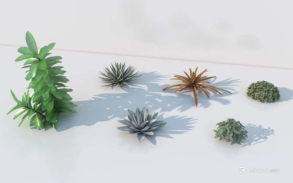 Various Types Of Green Shrubs With Different Shapes And Shadows On White Background 3d model 