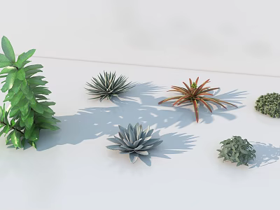 Various Types Of Green Shrubs With Different Shapes And Shadows On White Background 3d model