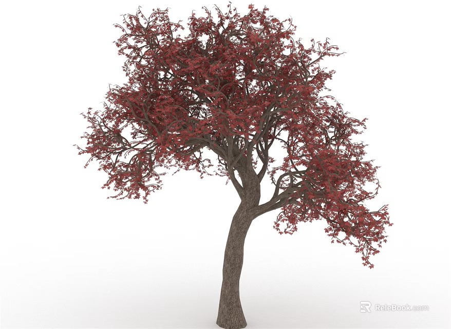 Stunning Red Leaf Tree With Brown Trunk And Lush Foliage 3d model 