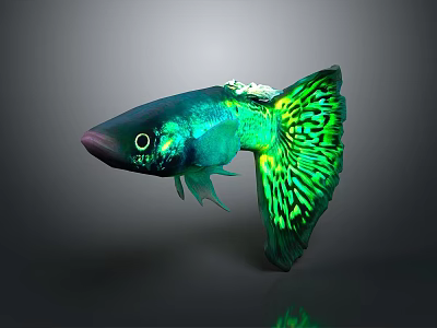 Vibrant Green And Blue Fish With Patterned Tail In Dark Background 3d model