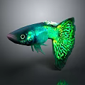 Vibrant Green And Blue Fish With Patterned Tail In Dark Background