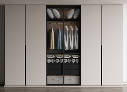 Modern Wardrobe Simple Wardrobe Glass Casement Wardrobe 3d model