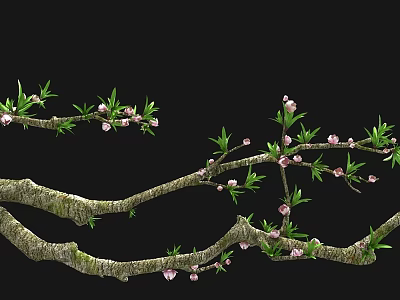 Beautiful Arbor Branches With Pink Blossoms Green Leaves And Natural Texture 3d model