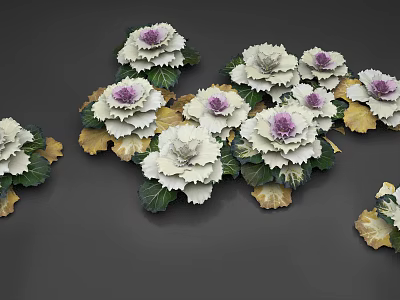 Ornamental Cabbage Flowers With Purple Centers And Green White Leaves 3d model