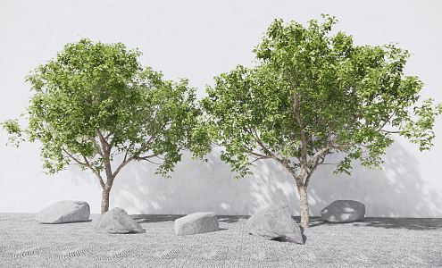 Modern Tree Landscape Tree Garden Tree Stone Courtyard Sit 3d model