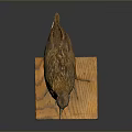 Realistic Bird Taxidermy Specimen Standing On Wooden Display Base With Natural Posture