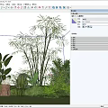 Lush Courtyard Garden With Bamboo Plants Stones White Goose Tree Stump And Green Grass