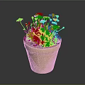 Blooming Red Flower Plant in Terracotta Pot with Green Leaves