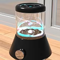 Stylish Decorative Light with Transparent Glass Cover Colorful Patterns on Black Base by Window