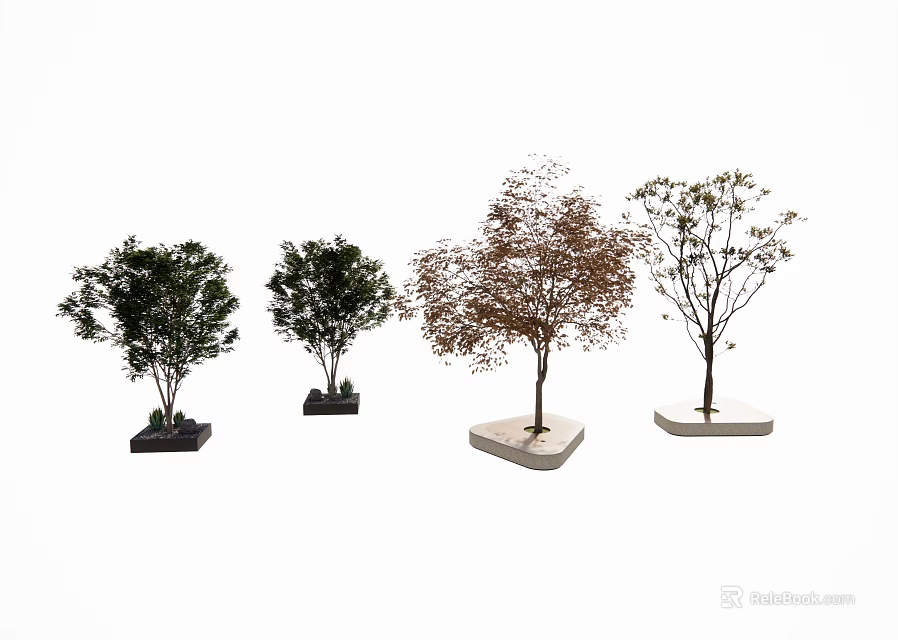 Diverse Plant Combination Featuring Four Different Tree Types With Decorative Bases 3d model