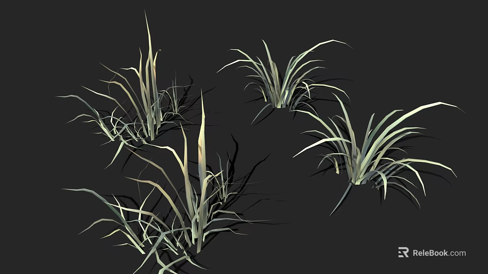 Grass Plants with Long Slender Leaves on Black Background in Various Shapes and Angles 3d model 