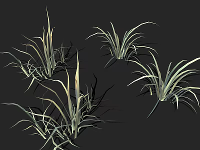 Grass Plants with Long Slender Leaves on Black Background in Various Shapes and Angles 3d model