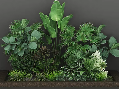 Tropical Plant Combination With Large Leaves Palm Fern And Green Foliage In Wooden Planter 3d model