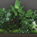 Tropical Plant Combination With Large Leaves Palm Fern And Green Foliage In Wooden Planter