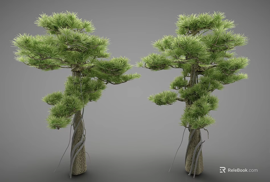 Two Pine Trees With Lush Green Foliage And Thick Trunks In Natural Form 3d model 