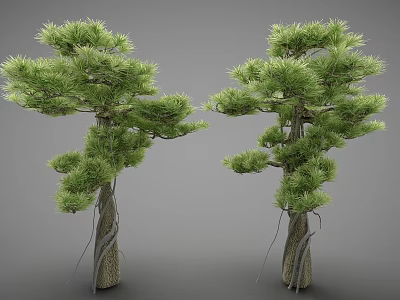 Two Pine Trees With Lush Green Foliage And Thick Trunks In Natural Form 3d model