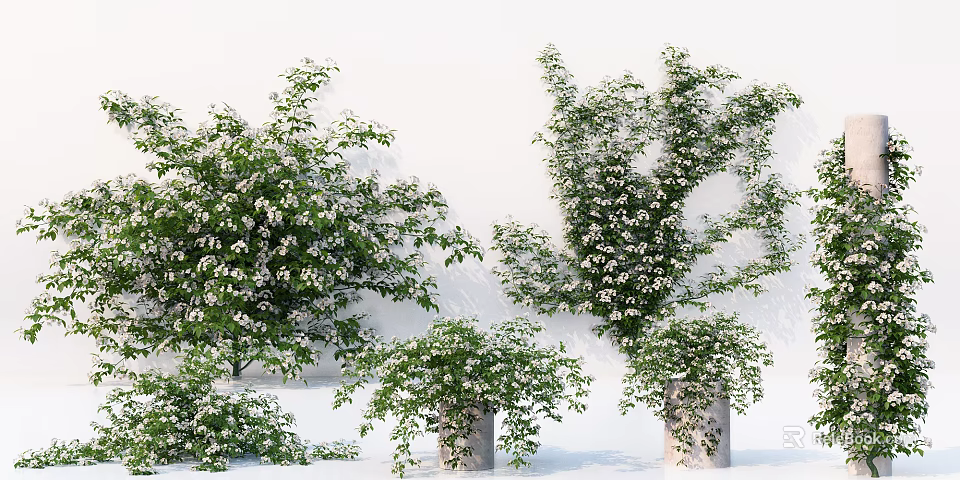 Lush Decorative Vines With White Flowers In Concrete Pots For Indoor Decor 3d model 