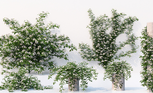 Modern Vine 3d model