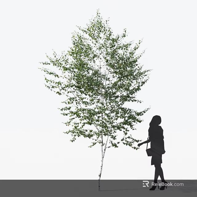 Tall Deciduous Tree With Lush Green Foliage And Silhouette Of Person Watering 3d model 