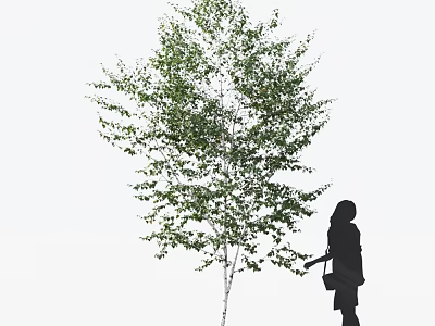Tall Deciduous Tree With Lush Green Foliage And Silhouette Of Person Watering 3d model