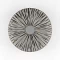 Canopy 3d model