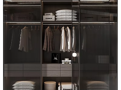 Modern Sleek Wardrobe Interior With Glass Doors Hanging Clothes Folded Items And Storage Boxes 3d model