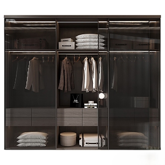 Wardrobe furniture combination 3d model