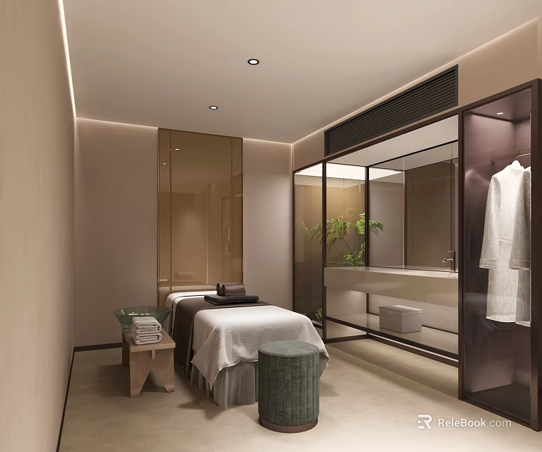 Luxurious SPA Sauna Room with Massage Bed Bathrobe Mirror and Green Plant 3d model 