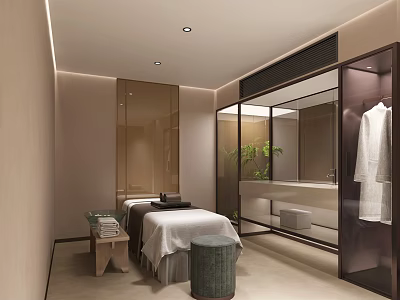 Luxurious SPA Sauna Room with Massage Bed Bathrobe Mirror and Green Plant 3d model