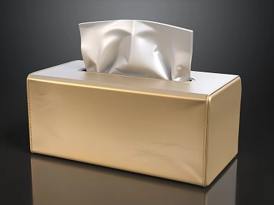 Gold Leather Tissue Box With Silver Tissues On Black Background 3d model