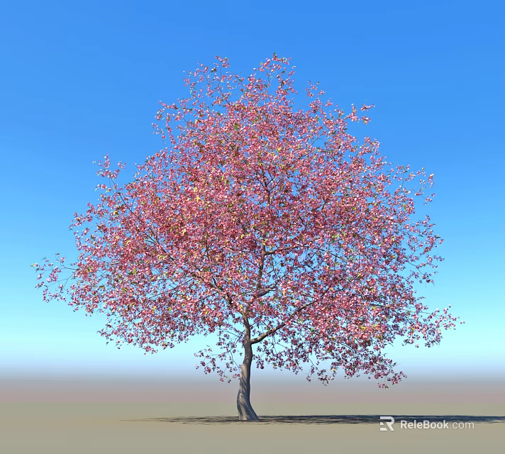 Vibrant Flowering Arbor With Pink Blossoms Against Clear Blue Sky Outdoor Scene 3d model 