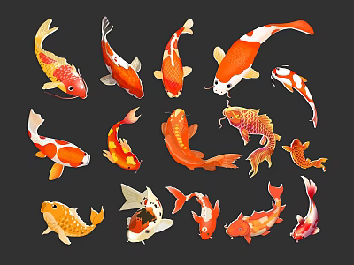 Colorful Koi Fish Animal Wall Decor with Various Designs for Home Decoration 3d model