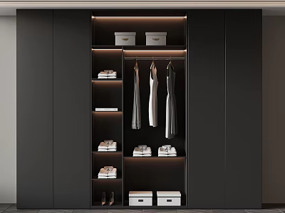 Modern Black Wardrobe Interior Design With Hanging Clothes Storage Boxes Shoes And LED Lighting 3d model