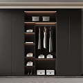 Modern Black Wardrobe Interior Design With Hanging Clothes Storage Boxes Shoes And LED Lighting