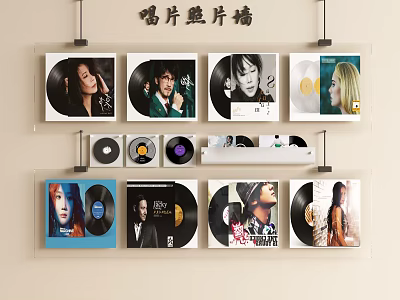 Vinyl Record Photo Wall With Hanging Album Covers And Physical Vinyl Records 3d model