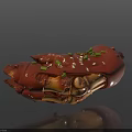 Delicious Braised Pork Trotter With Red Sauce Scallions And Sesame Seeds On Black Background